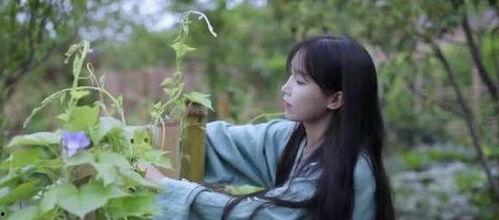 柒柒娱乐吃瓜,揭秘娱乐圈最新吃瓜事件，带你领略明星幕后故事