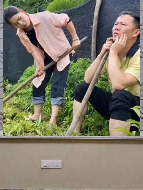 娱乐吃瓜拍摄地,探寻明星足迹的神秘角落