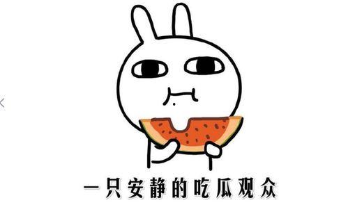 吃瓜表情的含义是什么意思啊,网络社交中的幽默与讽刺