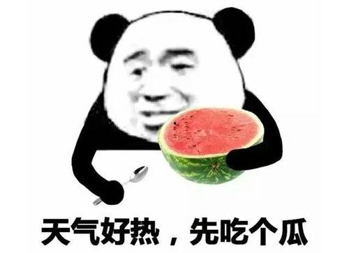 吃瓜表情的意思解释,网络社交中的幽默与讽刺